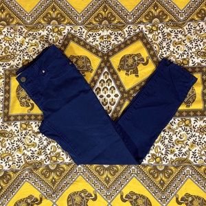Navy Blue Jegging Pants